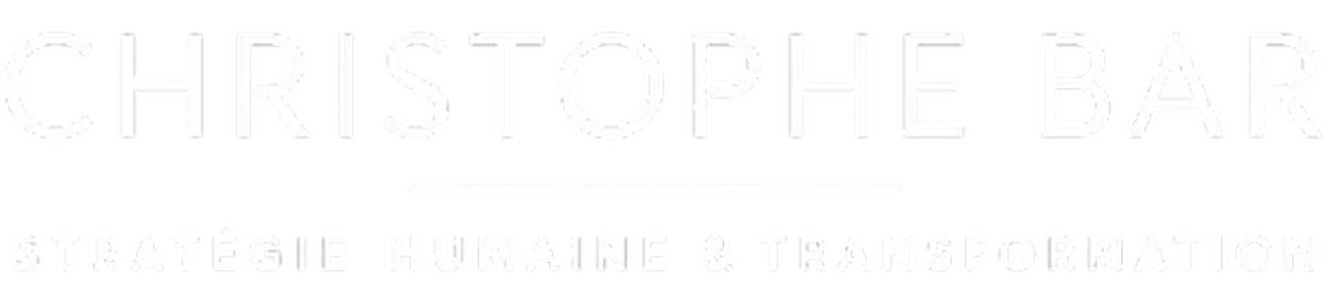 logo footer
